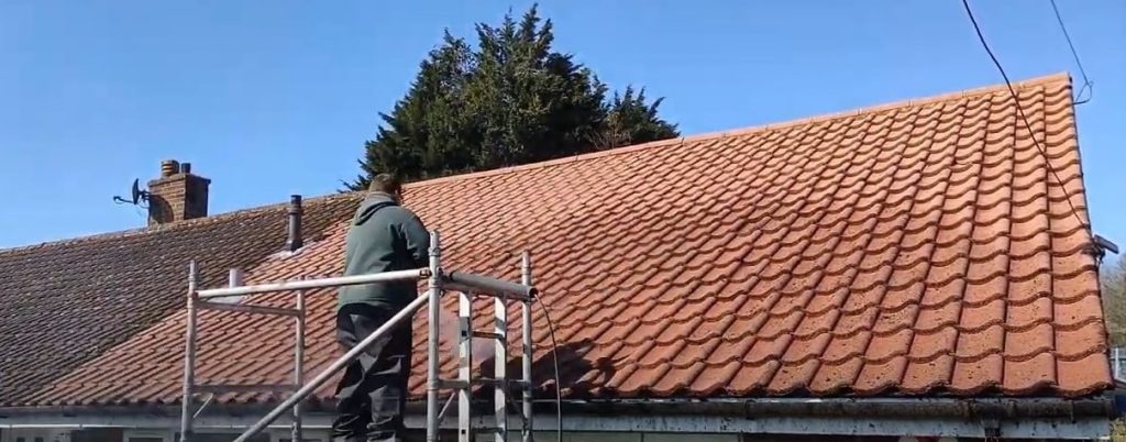 Roof Cleaning Service