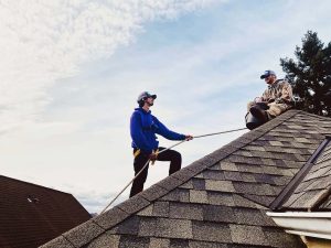 roof Cleaning